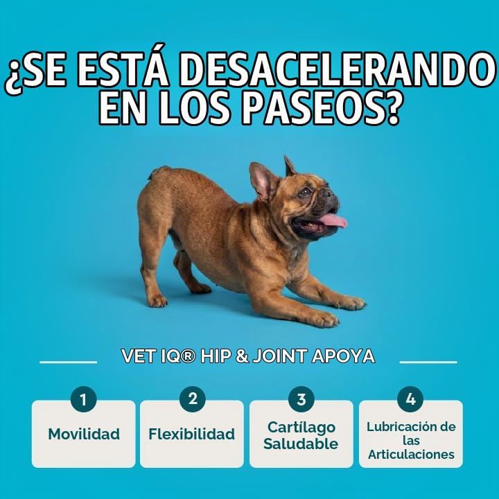 VetIQ Masticables avanzados para cadera y articulaciones para perro...