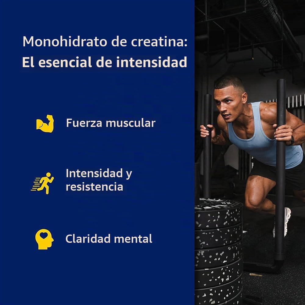 BodyTech monohidrato de creatina en polvo, sin sabor, 18 oz, 102 po...