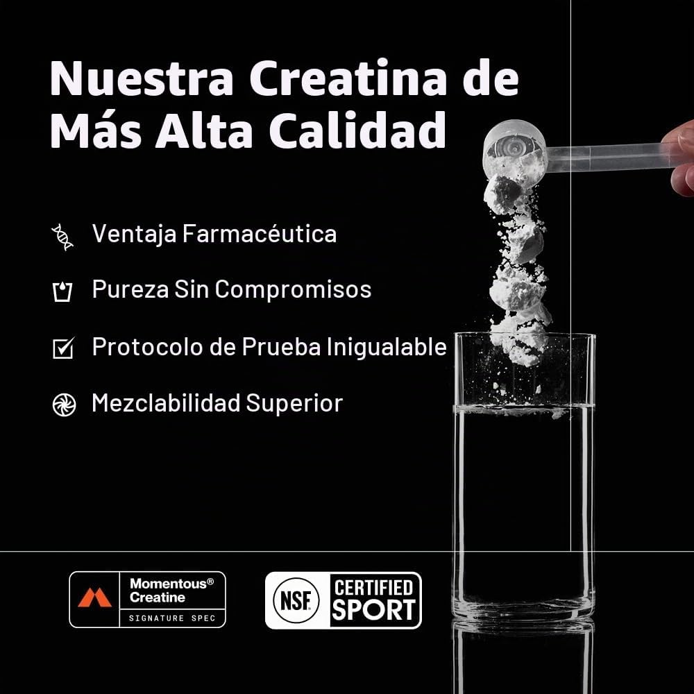 Momentous Monohidrato de creatina en polvo, 0.2 oz por porción, san...