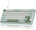 RK ROYAL KLUDGE Teclado mecánico R75 con cable con perilla de volum...