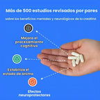 Cápsulas de monohidrato de creatina, suplemento preentrenamiento de...