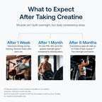 Transparent Labs Creatine HMB - Monohidrato de creatina en polvo co...