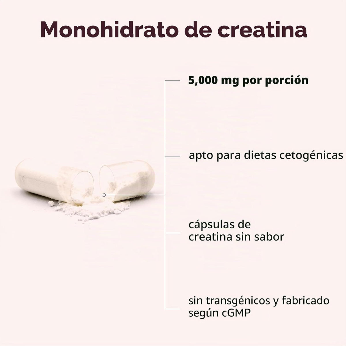 Monohidrato de creatina 5,000 mg, 500 cápsulas | Píldoras de creati...