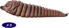 Bandai Película Monster Series Mothra Larva (2003) Twin Set