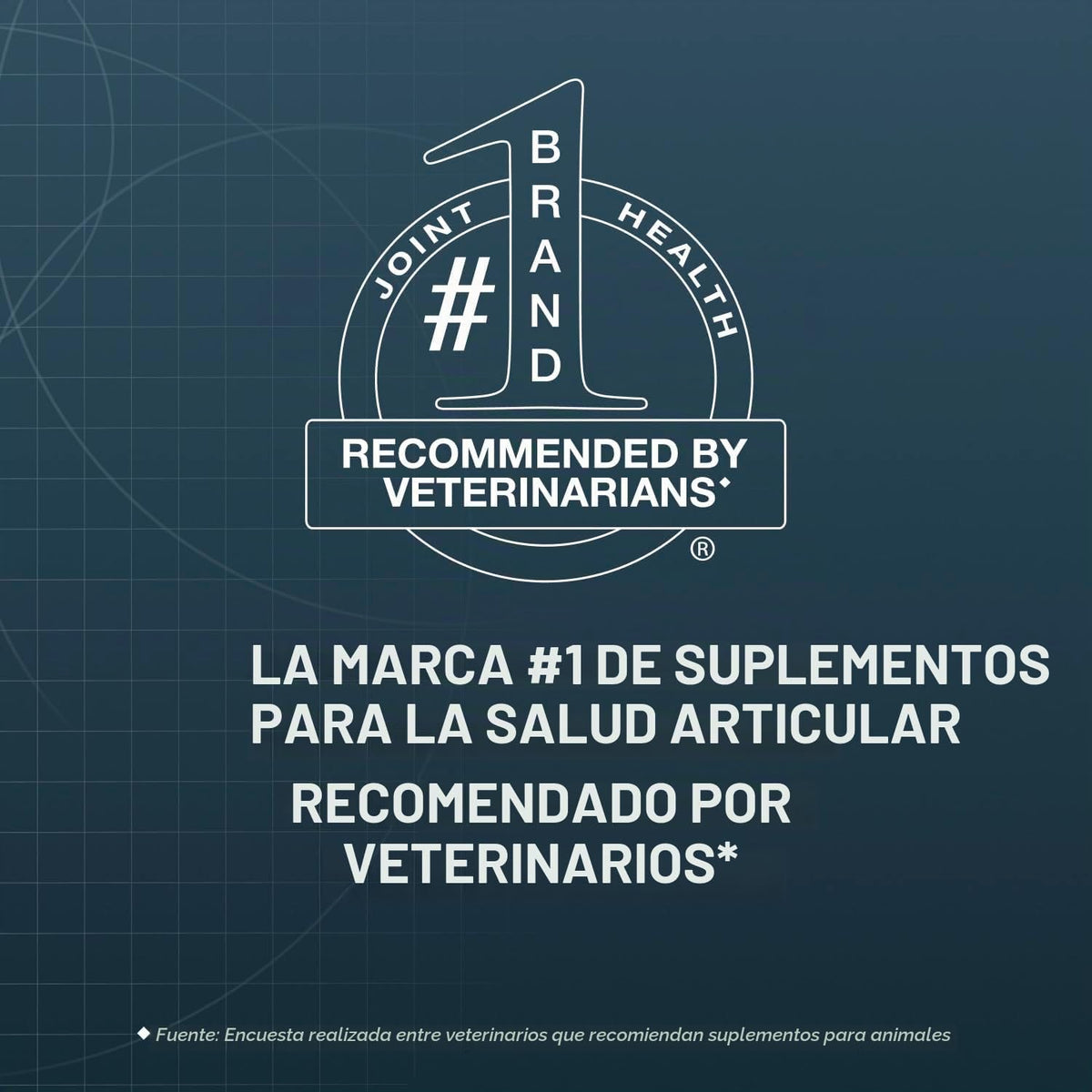 Nutramax Dasuquin MSM Suplemento para articulaciones, perros pequeñ...