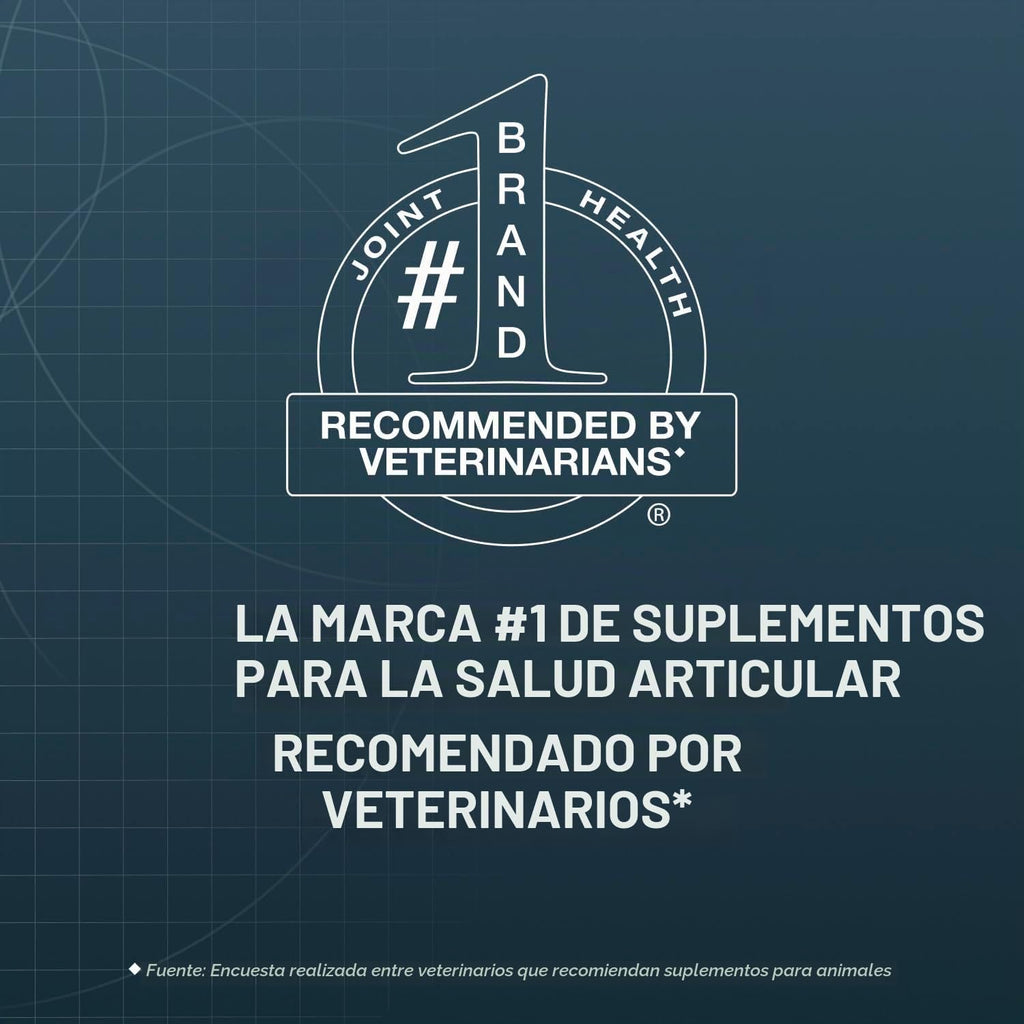 Nutramax Dasuquin MSM Suplemento para articulaciones, perros pequeñ...