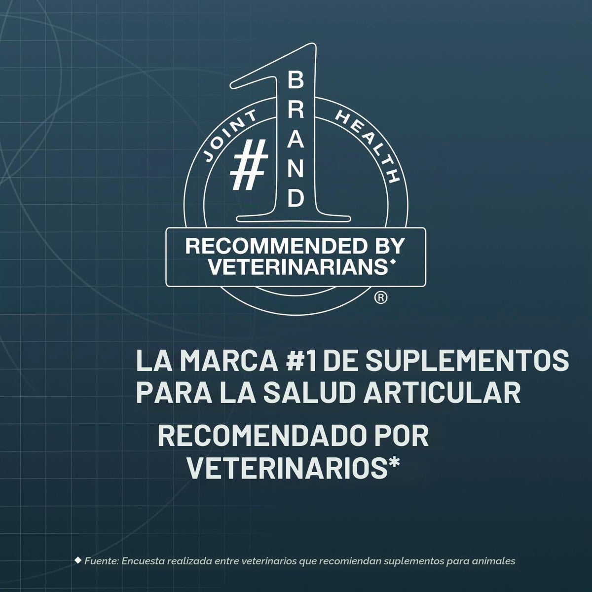 Nutramax Dasuquin MSM Suplemento para articulaciones, perros pequeñ...