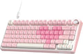 RK ROYAL KLUDGE Teclado mecánico R75 con cable con perilla de volum...