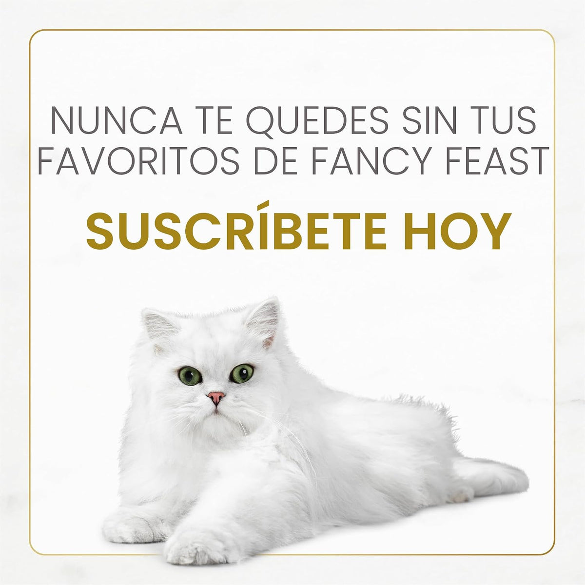 Fancy Feast Purina Gourmet - Paquete variado de alimentos húmedos p...