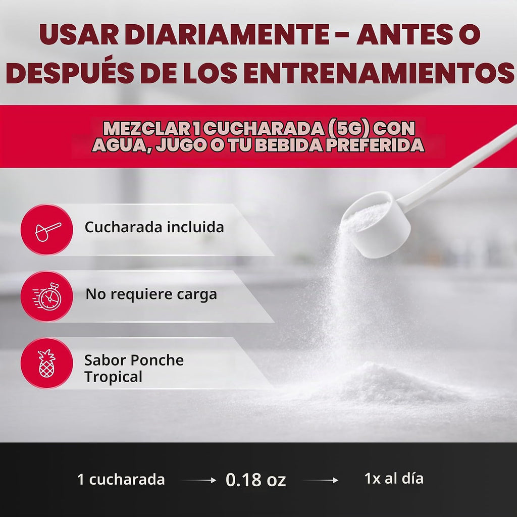 ALLMAX - Monohidrato de creatina en polvo, micronizado, ponche de f...