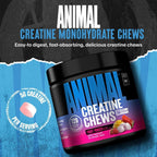 Masticables de creatina Animal - Tabletas de creatina monohidratada...