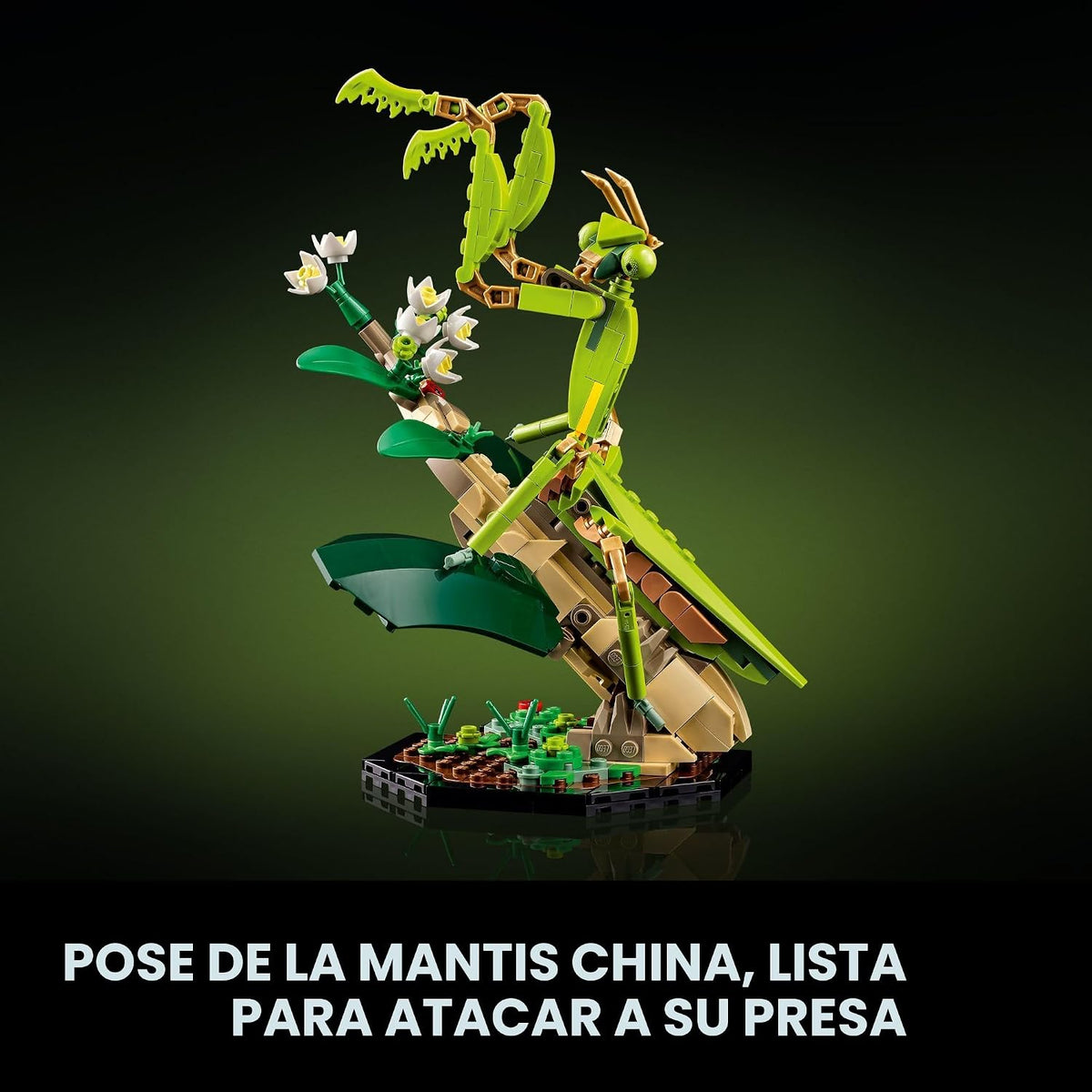 LEGO Ideas La colección de insectos, regalo divertido para los aman...