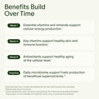 Seed DM-02 - Multivitamínico diario para mujeres y hombres, suminis...