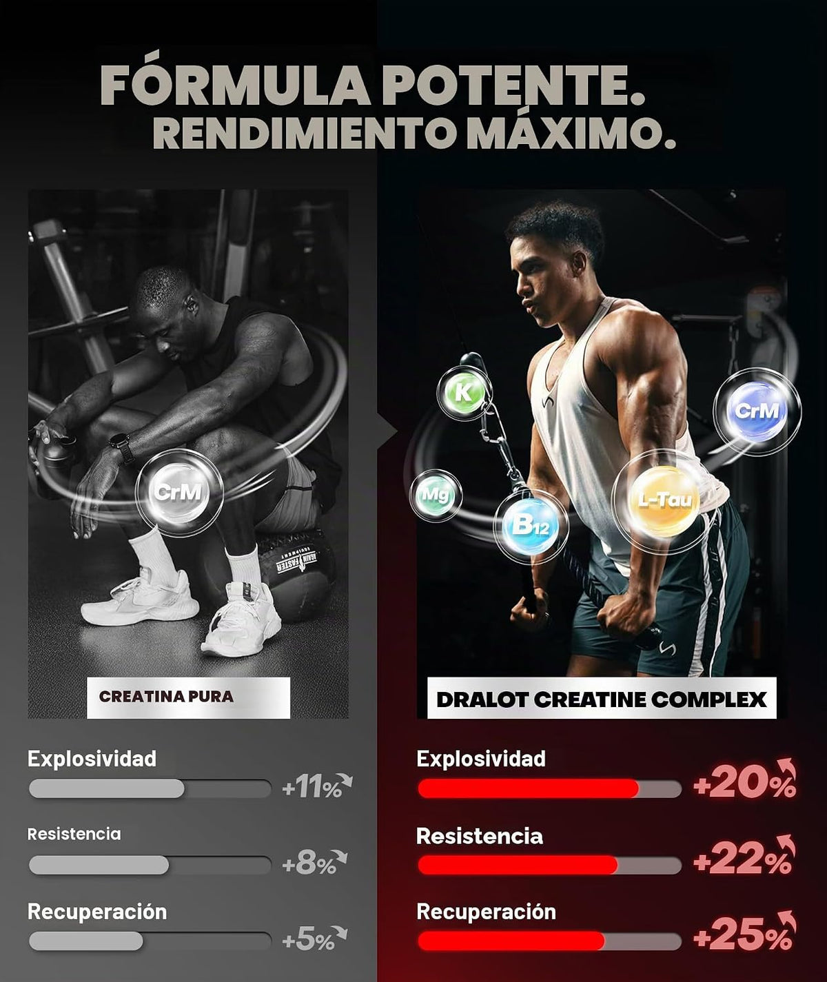 Dralot Nutrition Gomitas de monohidrato de creatina con 99.99% de m...