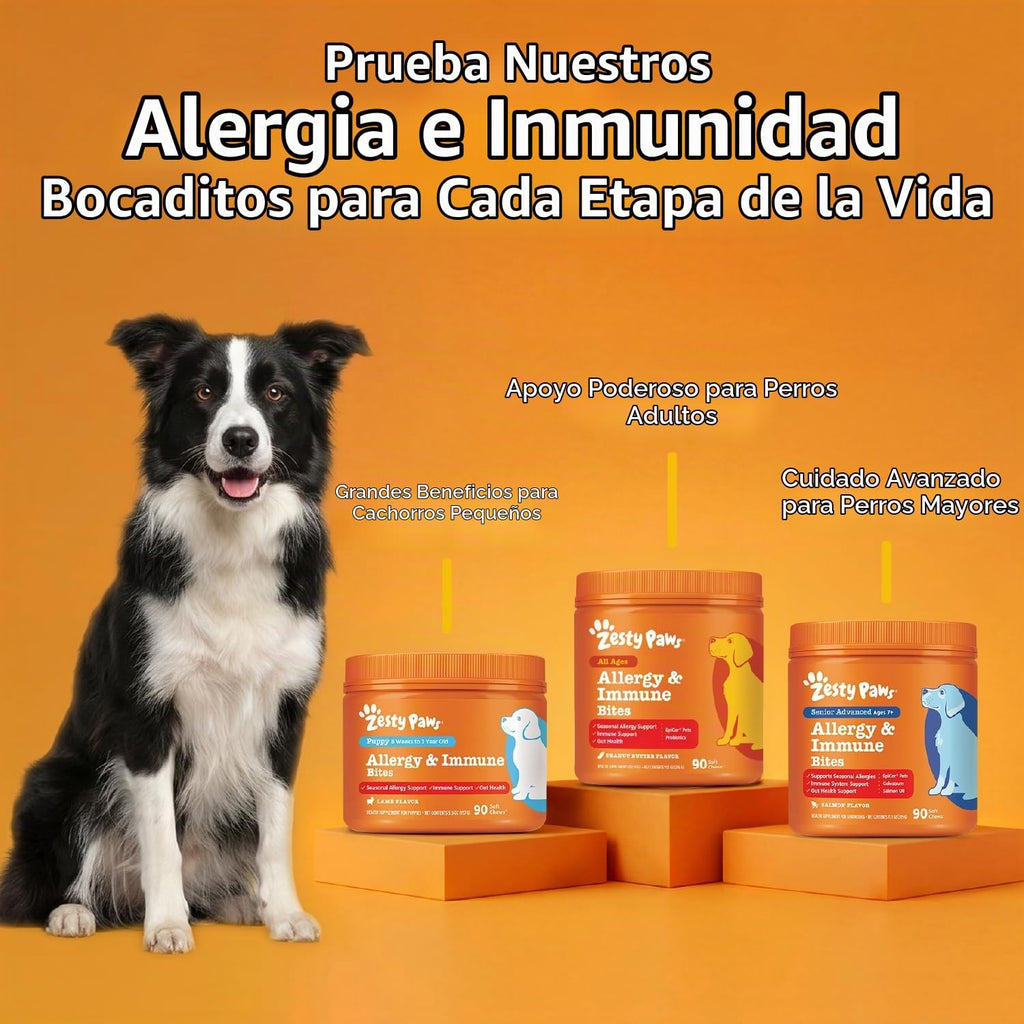 Masticables para aliviar la alergia en perros de Zesty Paws, probió...