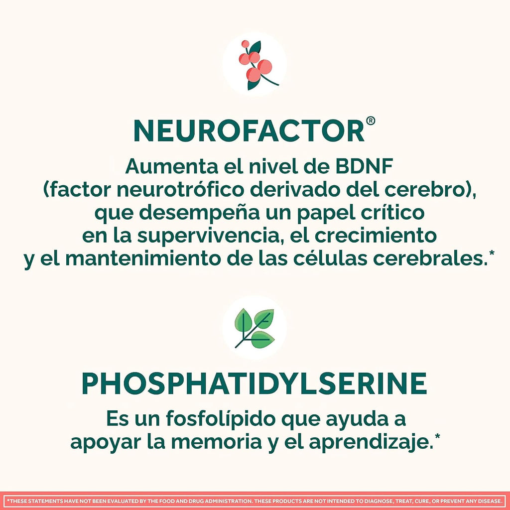 NEURIVA Suplemento cerebral original para memoria, concentración y...