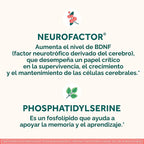 NEURIVA Suplemento cerebral original para memoria, concentración y...