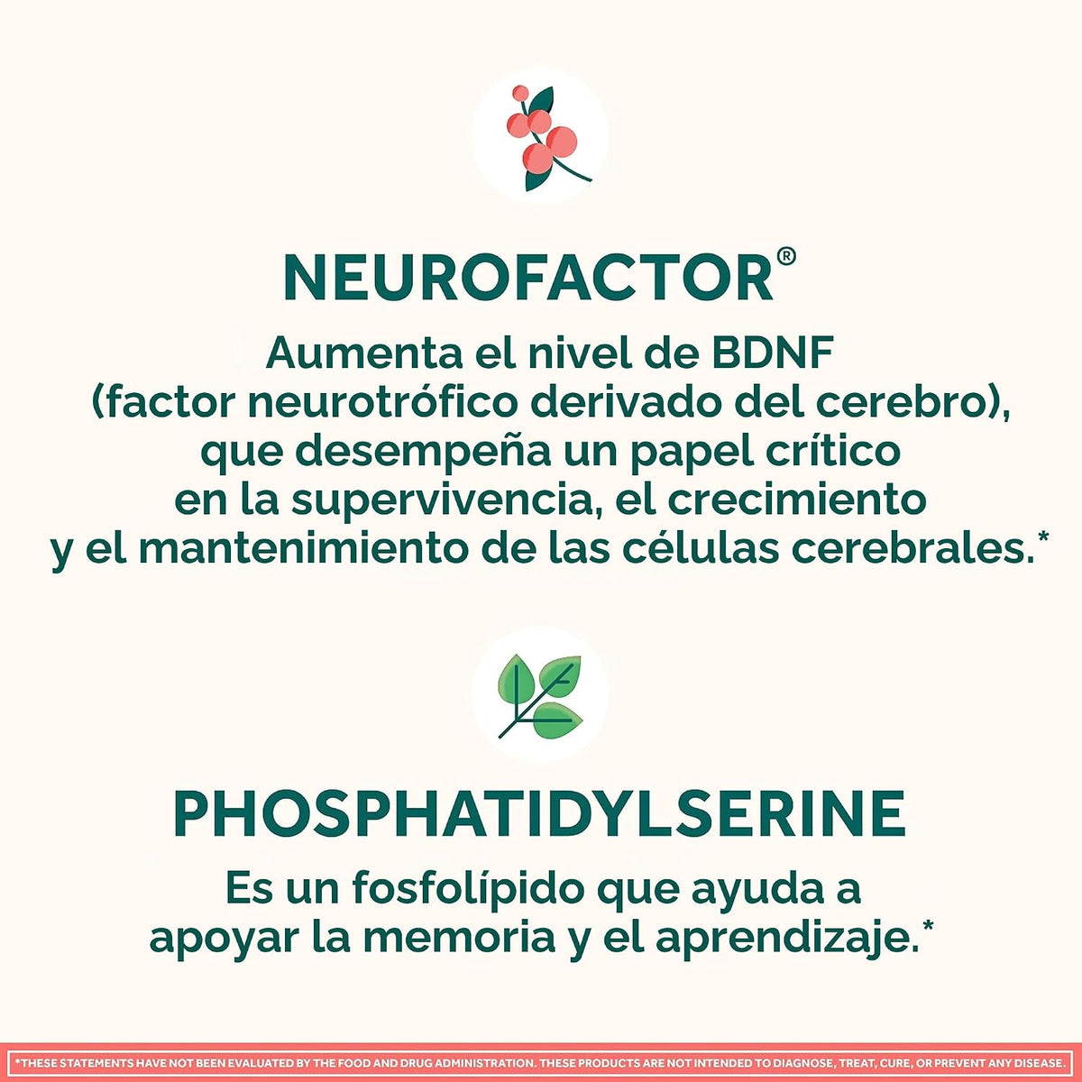 NEURIVA Suplemento cerebral original para memoria, concentración y...