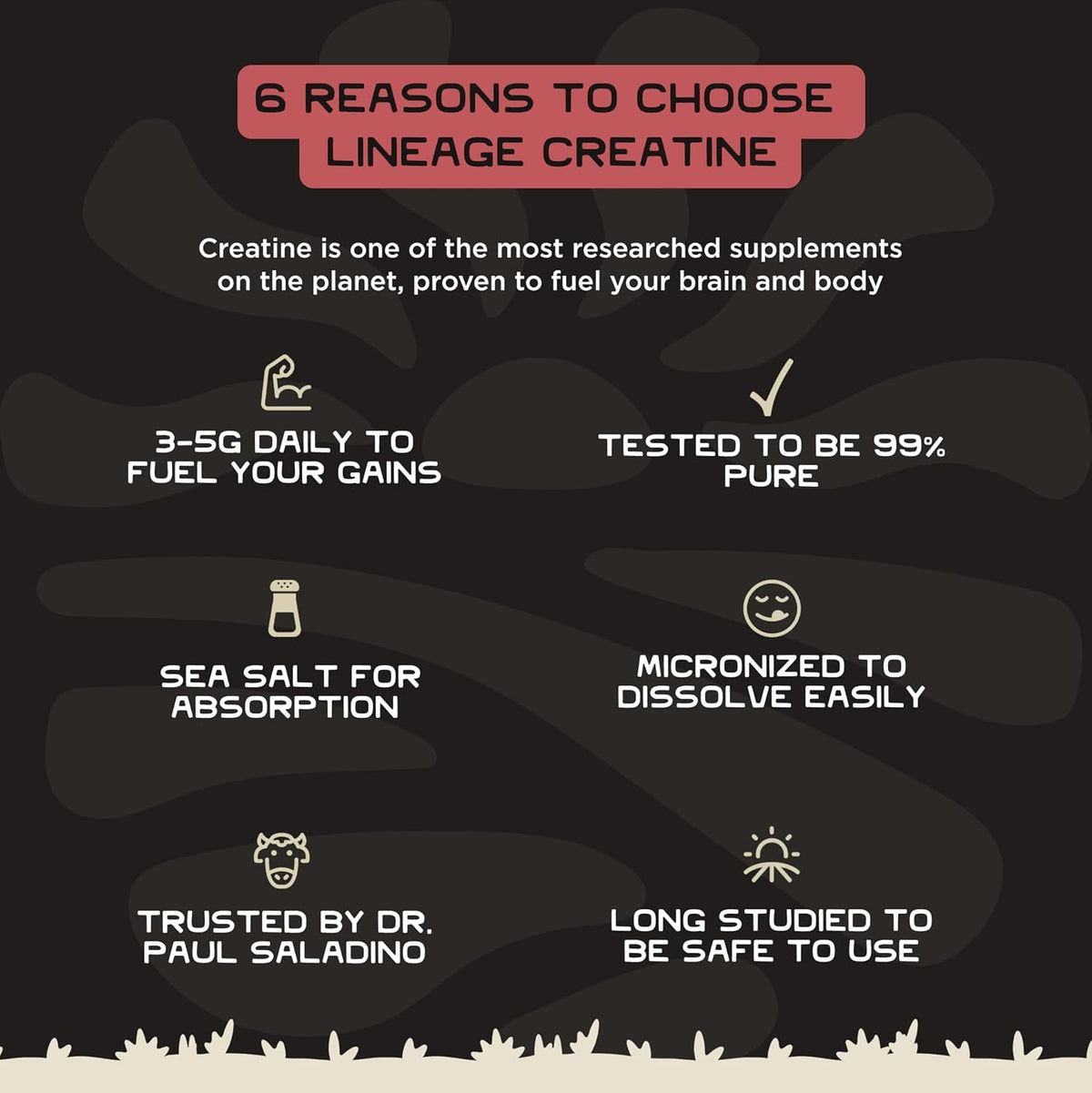 Lineage Provisions Monohidrato de creatina micronizada con sal mari...
