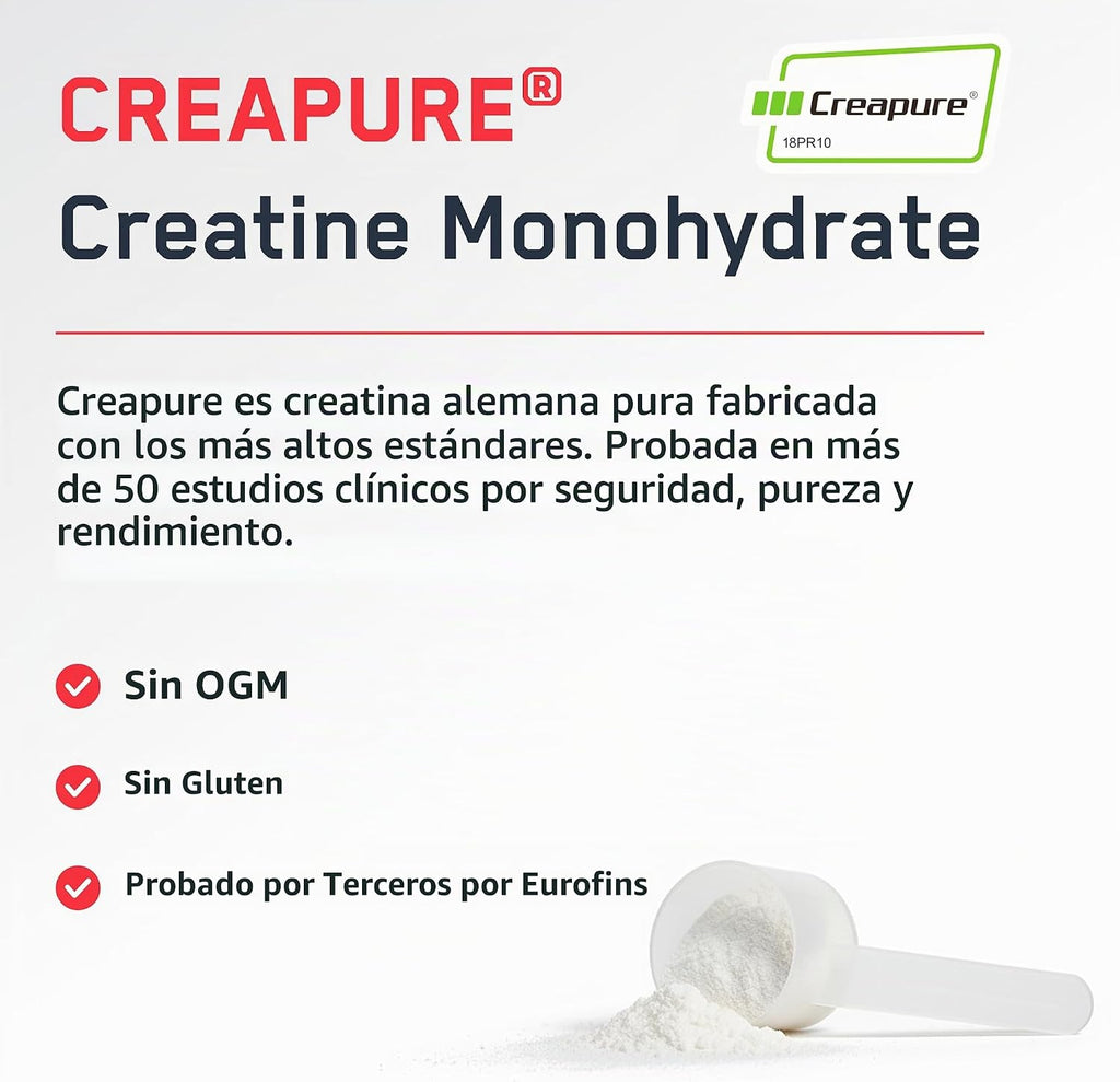 SteelFit Creapure - Monohidrato de creatina pura en polvo, sandía,...