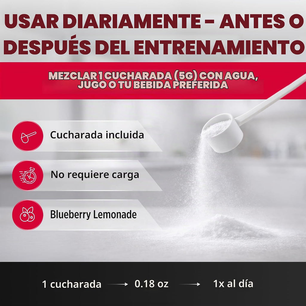 ALLMAX - Monohidrato de creatina en polvo, micronizado, limonada de...