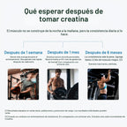 Transparent Labs Creatine HMB - Monohidrato de creatina en polvo co...