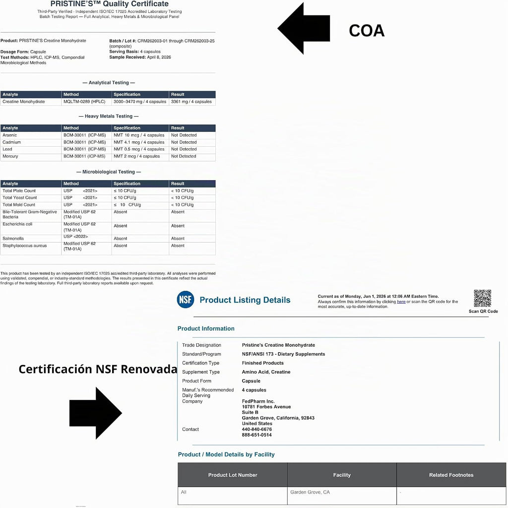 Cápsulas de suplemento de monohidrato de creatina certificada NSF d...