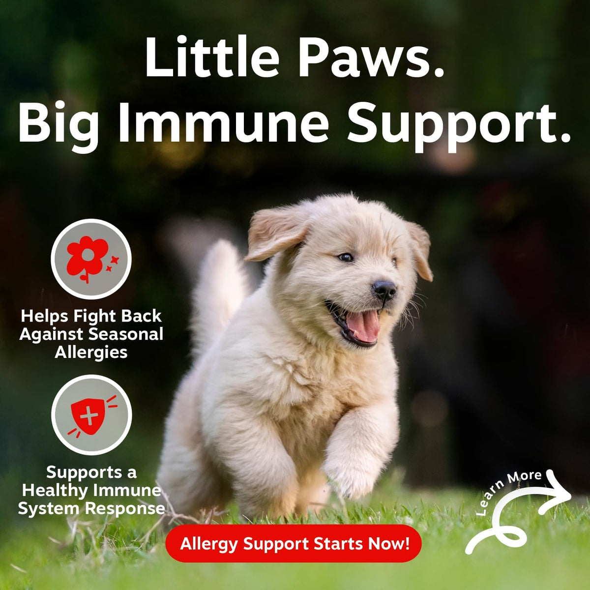 Zesty Paws Alivio de Alergias para Perros - Suplemento Anti-Picazón...