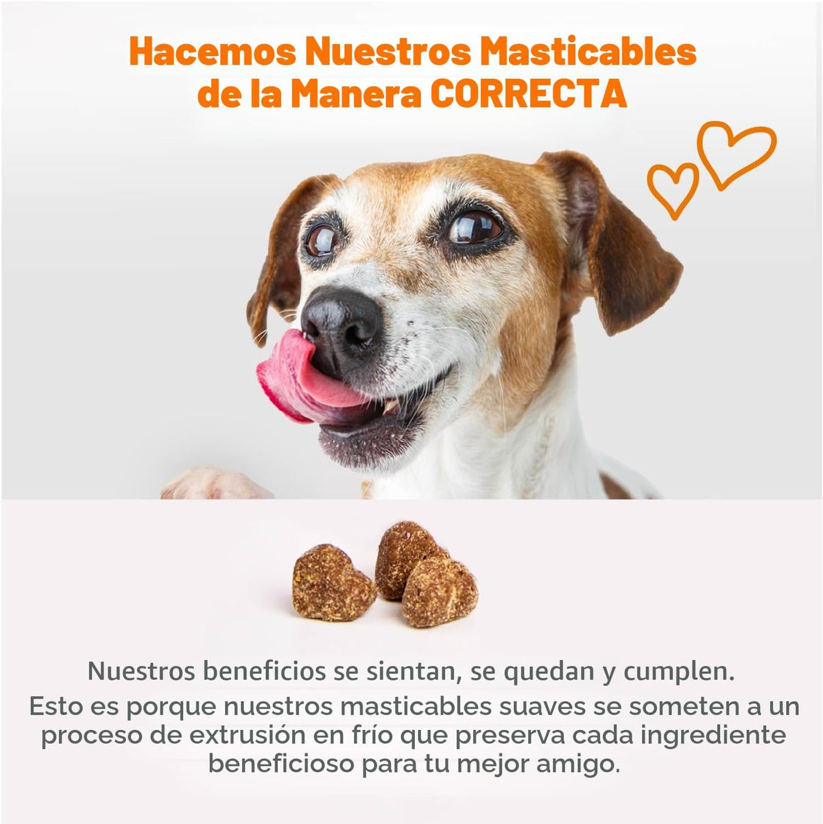 Zesty Paws Mini masticables para alergias para perros, alivio de la...