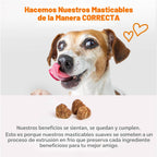 Zesty Paws Alivio de la alergia para perros, suplemento antipicazón...