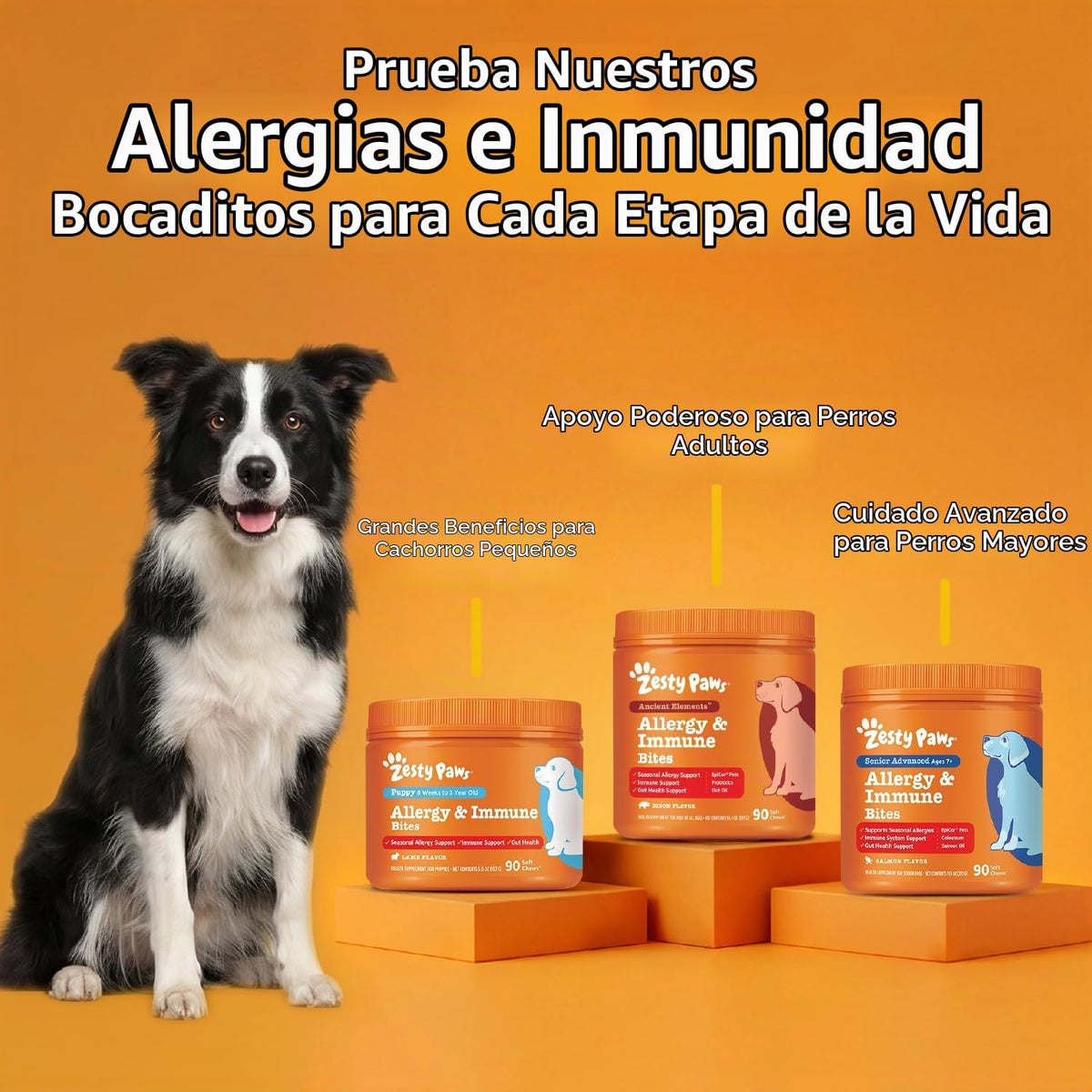 Zesty Paws Alivio de la alergia para perros \u2013 Suplemento antip...