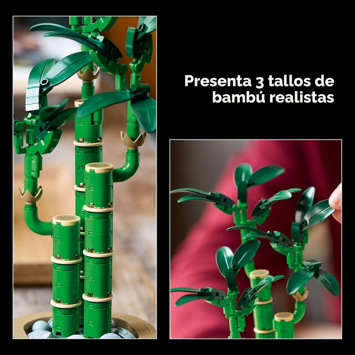 LEGO Botanicals - Juego de construcción de bambú de la suerte, plan...