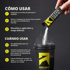 Ascent Monohidrato de creatina limpia, sin sabor, 15 porciones 5G