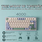EPOMAKER x Aula F75 - Teclado mecánico con junta, 75% inalámbrico i...