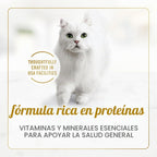 Purina Fancy Feast Delights with Cheddar - Alimento húmedo para gat...