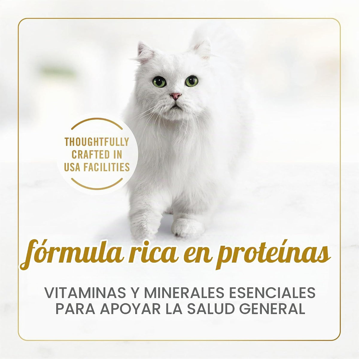 Purina Fancy Feast Delights with Cheddar - Alimento húmedo para gat...