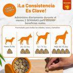 Masticables para aliviar la alergia en perros de Zesty Paws, probió...