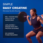 GAT SPORT Monohidrato de creatina en polvo, fuerza, salud cerebral,...
