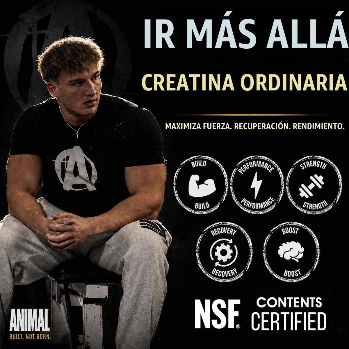 Cápsulas en polvo de monohidrato de creatina animal para hombres y...