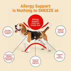Zesty Paws Alivia la alergia de los perros - Suplemento antipicazón...