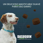 Nutramax Dasuquin MSM Suplemento para articulaciones, perros pequeñ...