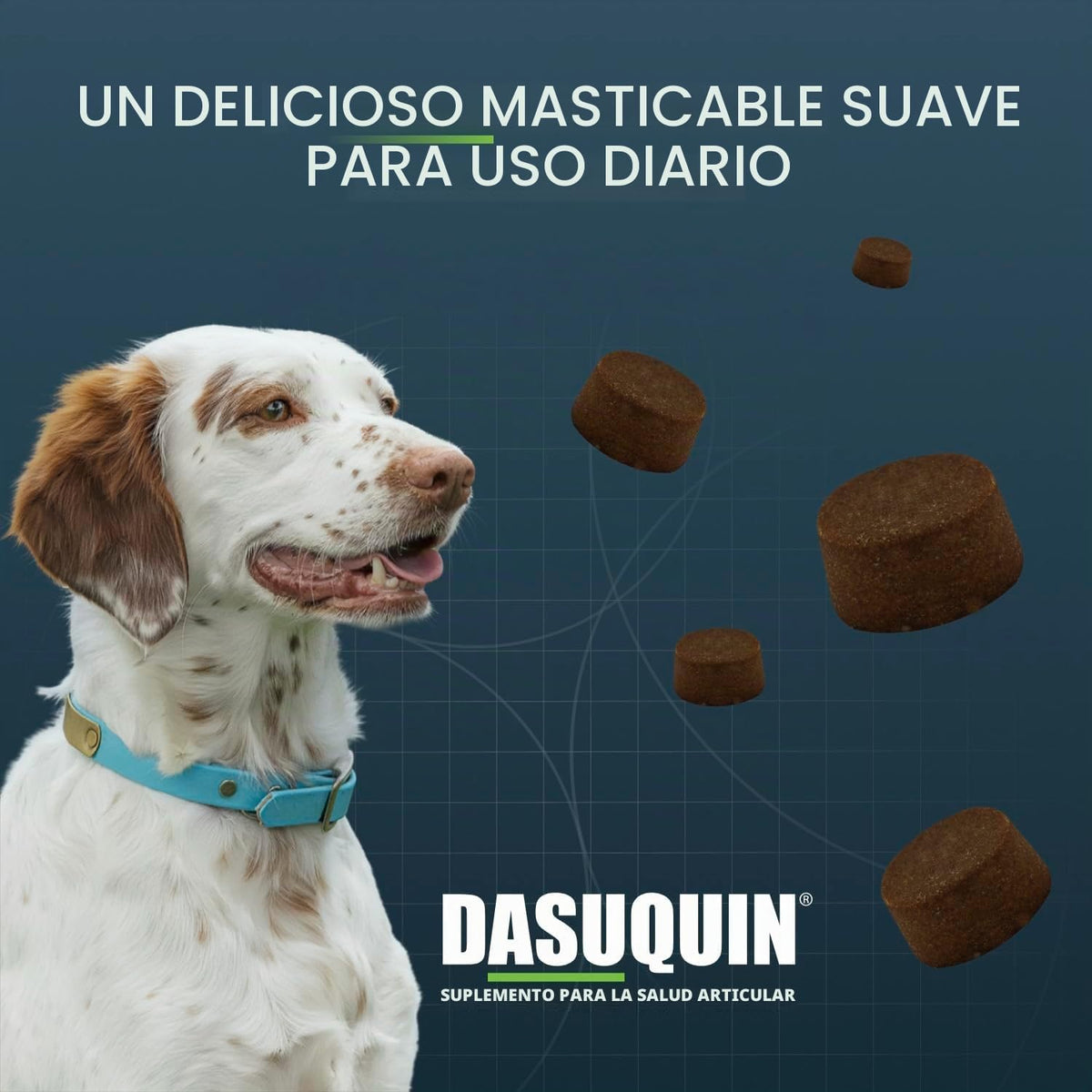 Nutramax Dasuquin MSM Suplemento para articulaciones, perros pequeñ...