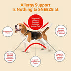 Zesty Paws Alivio de Alergias para Perros - Suplemento Anti-Picazón...