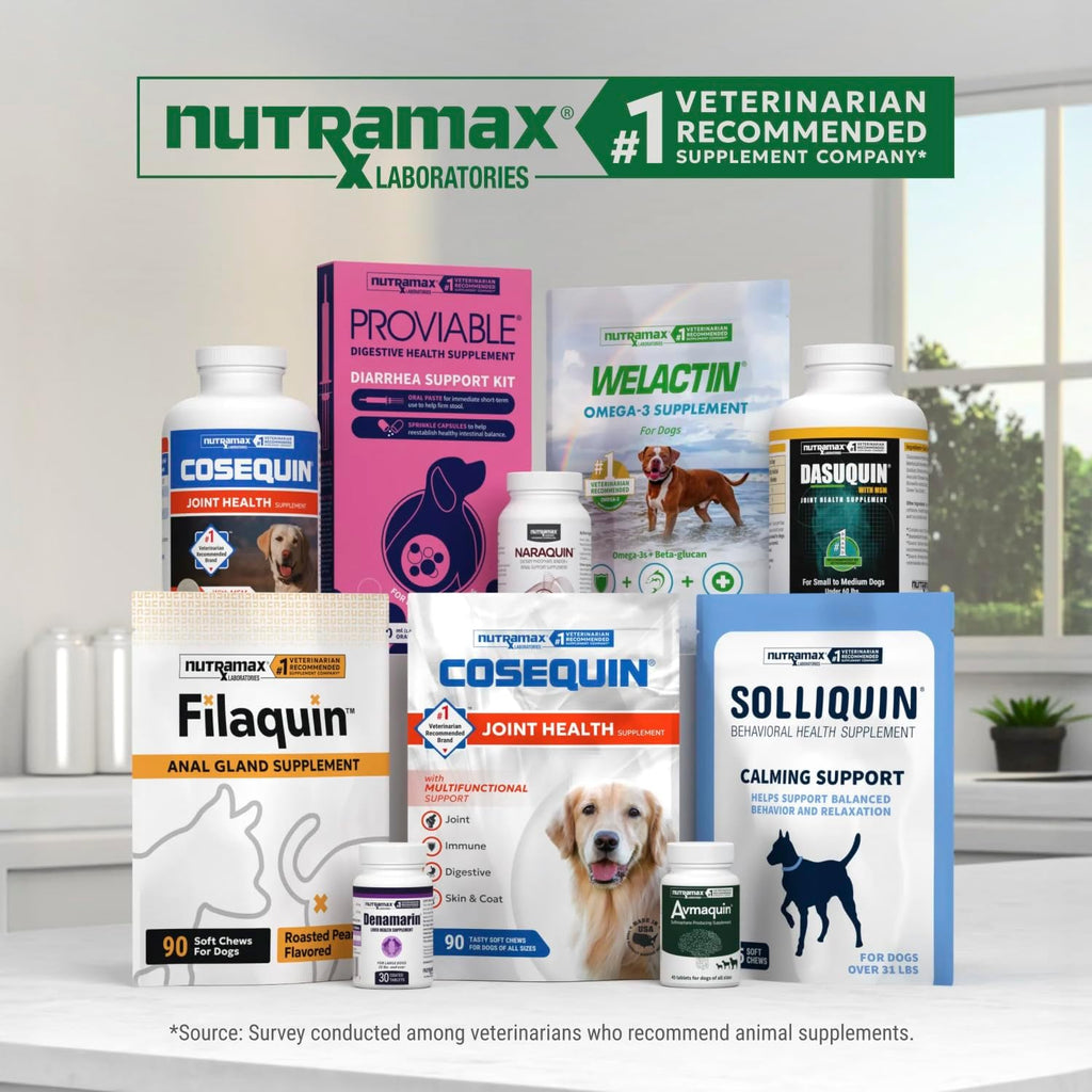 Nutramax Dasuquin MSM Suplemento para articulaciones, perros pequeñ...