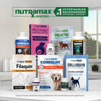Nutramax Dasuquin MSM Suplemento para articulaciones, perros pequeñ...