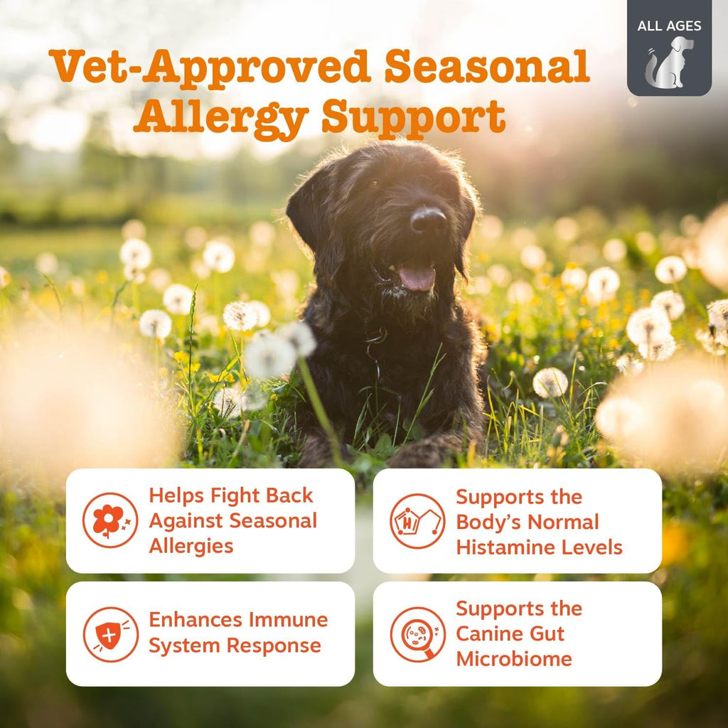 Zesty Paws Vet Strength Allergy Immune Bites - Masticables para ale...