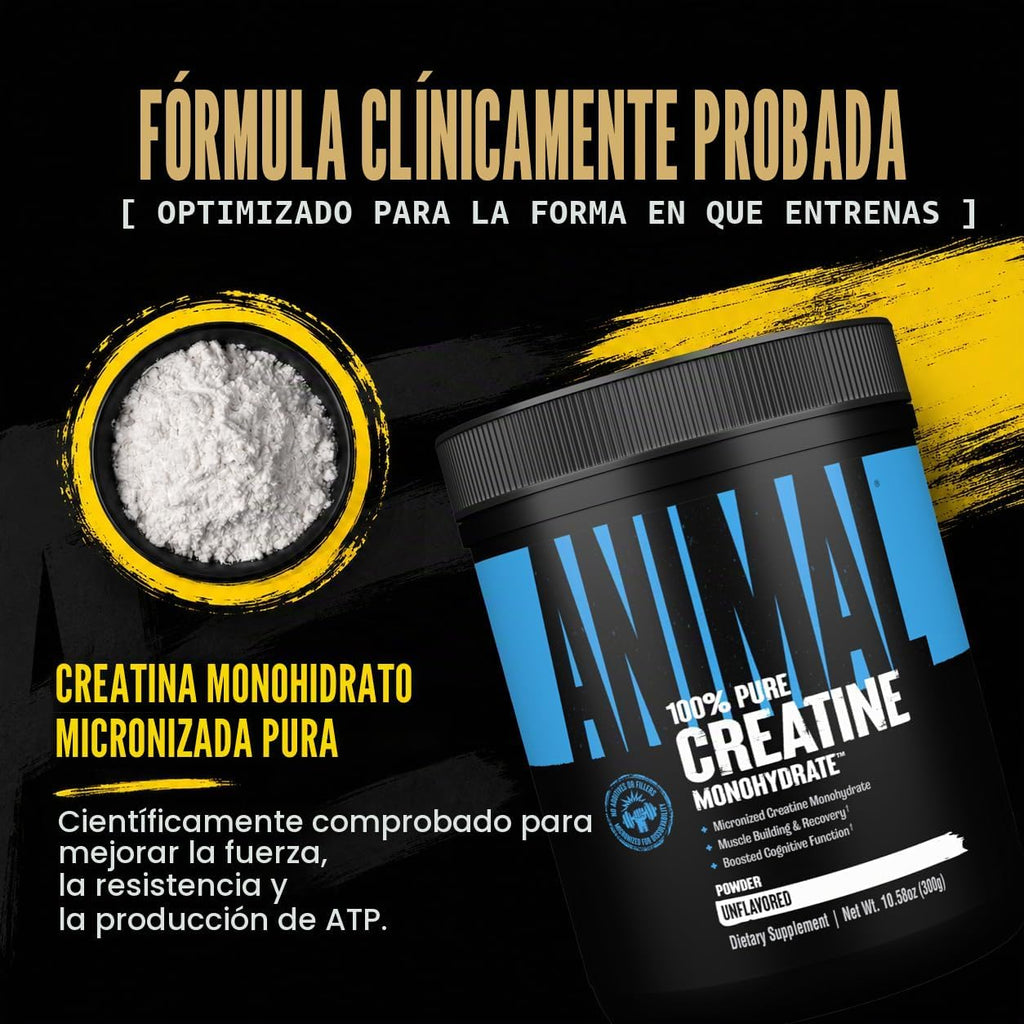 Monohidrato de creatina animal en polvo para hombres y mujeres | Un...