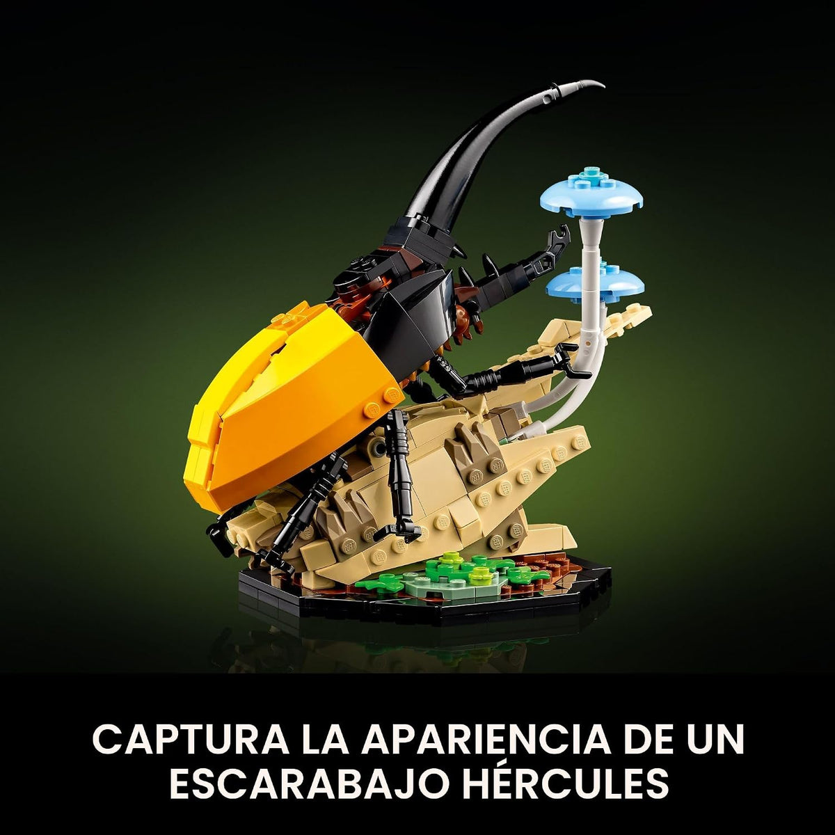 LEGO Ideas La colección de insectos, regalo divertido para los aman...