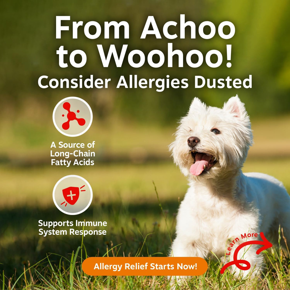 Zesty Paws Alivia la alergia de los perros - Suplemento antipicazón...