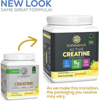 Polvo de Monohidrato de Creatina Micronizado PreWorkout, Suplemento...